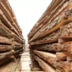木材厂切割的木板