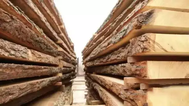 ألواح خشبية مقطوعة بواسطة مطحنة الخشب