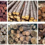 aplicações de máquinas de serraria de madeira