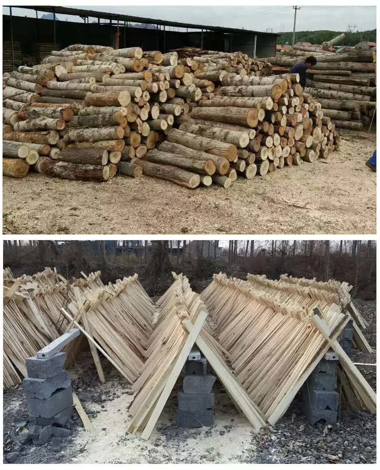 Wood log cutting